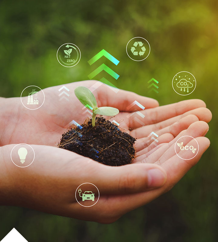 Carbon reduction plan